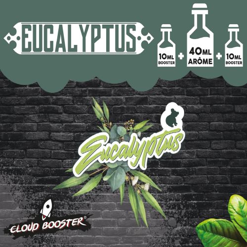 Eucalyptus 40 ml - Cloud Booster