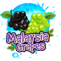 Malaysia grapes 60 ml - Bang à l'ô