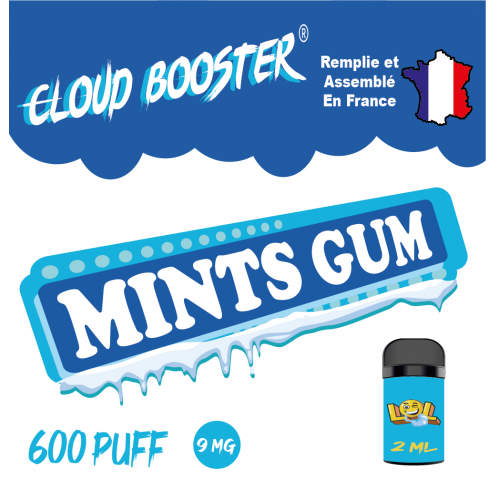 mint gum  9 mg - 2 ml - Eassy Fast