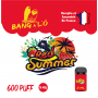10 Cartouches  Red Summer 9 mg - 2 ml - Easy Fast