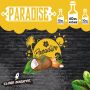 Paradise 40 ml - Cloud Booster