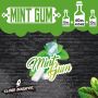 Mint Gum 40 ml - Cloud Booster
