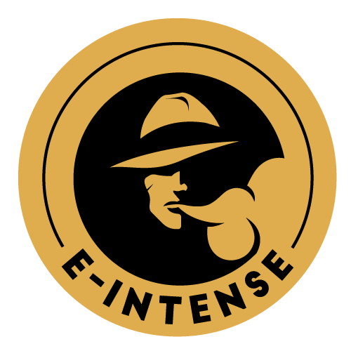 E-INTENSE-Logo-500x500px-RVB.png